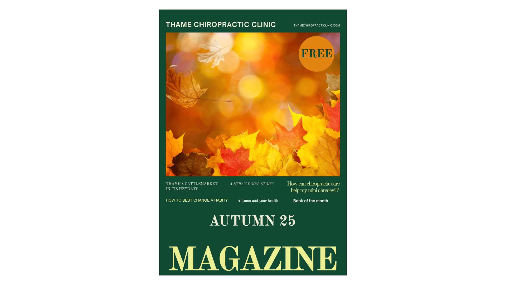 Untitled design (29)